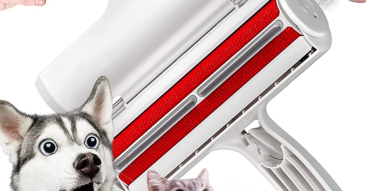 ChomChom Roller <a href='/dog-hair-remover/'>Dog Hair Remover</a>, Cat Hair Remover, Pet Hair Remover Buy in center
