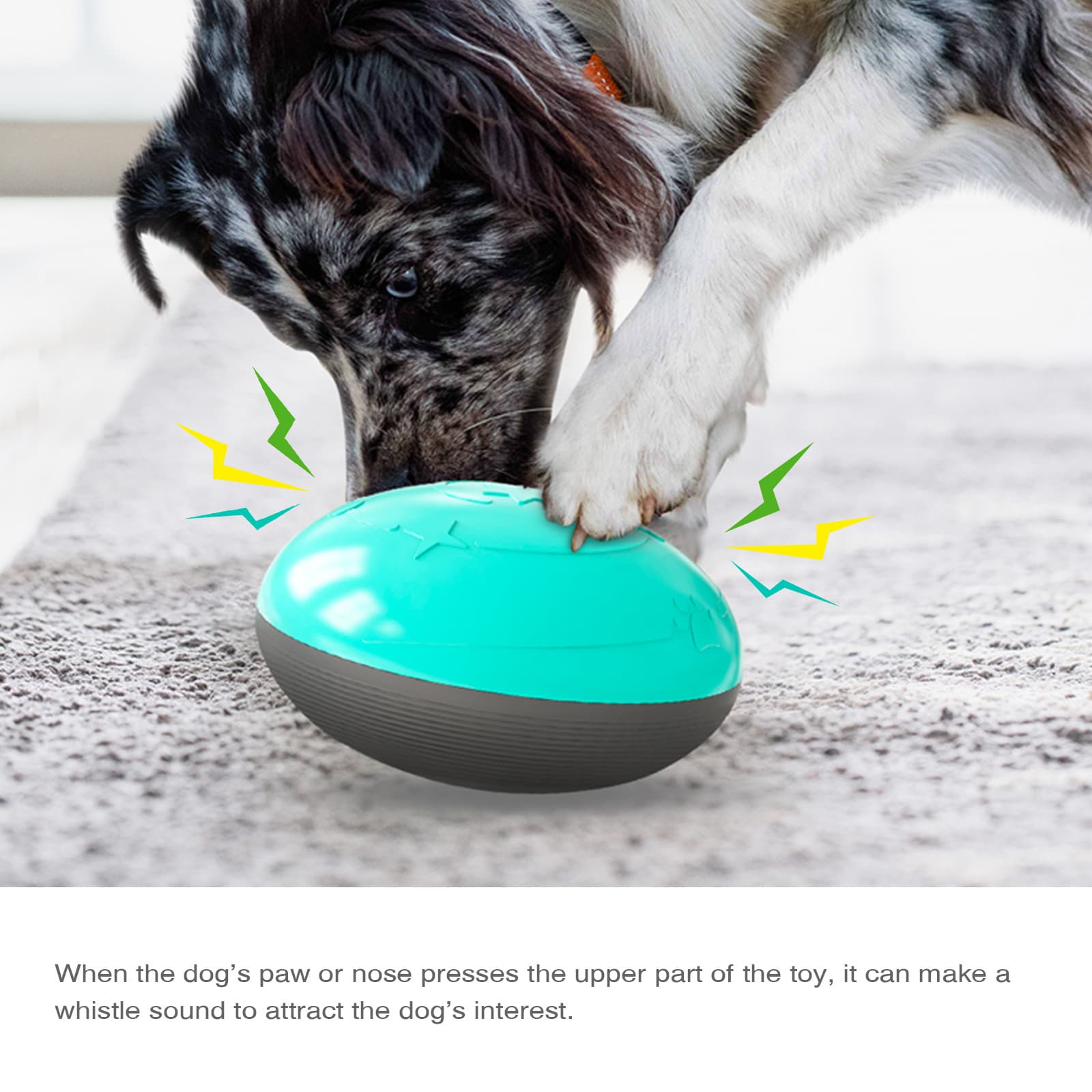 Dog Treat Dispensing Toy (5)