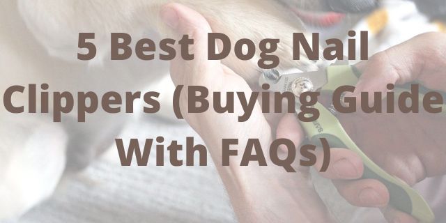 Best <a href='/dog-nail-clipper/'>Dog Nail Clipper</a>s  Top 5 Trimmers - My Dog's Name