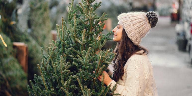 real Christmas tree | Nant y Bedd