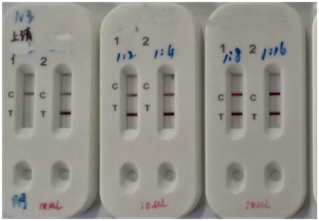 County Launches Online Form for Community Organizations to Request COVID-19 Rapid Test Kits - Source of the Spring