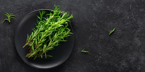 Unique Rosemary Extract that Protects Skin from Urban Stress