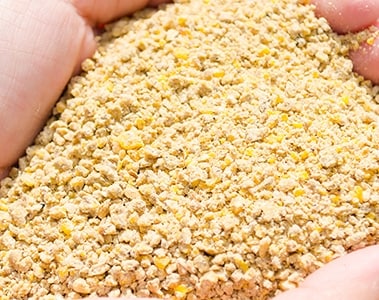 Poultry feed production (Poultry) News  | Agriculture XPRT