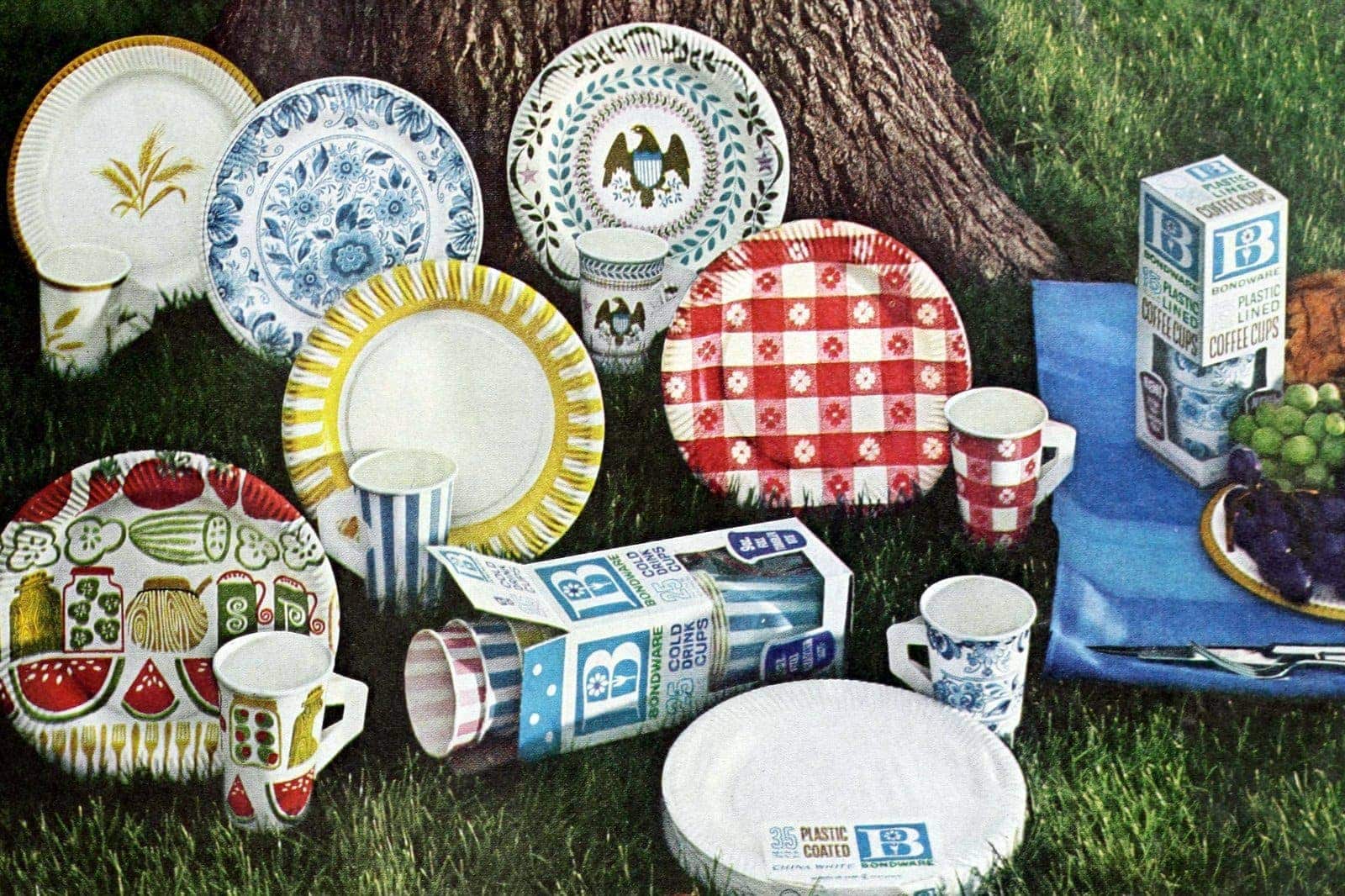 Disposable plates and bowls. / myLot