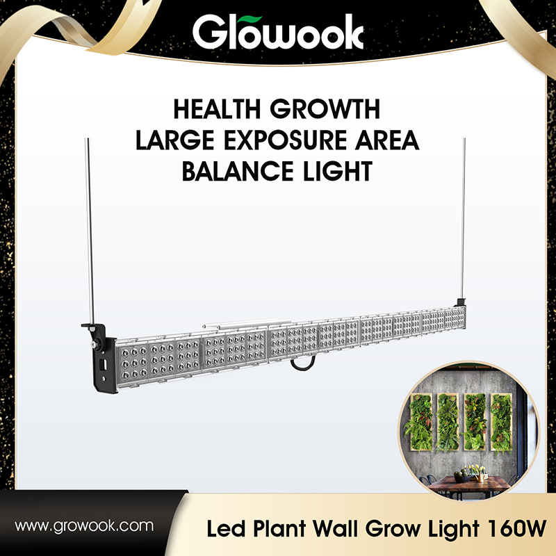 Factory Direct LED Plant Wall <a href='/grow-lights/'>Grow Lights</a> for Optimal Growth