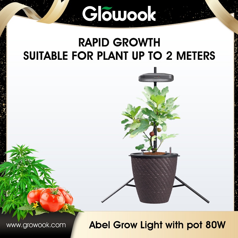 Top-quality 80W Abel Growlight Direct from Factory | Quick Delivery