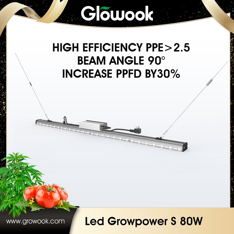 Factory-direct LED Growpower S for Optimal Plant Growth | Grow with Confidence