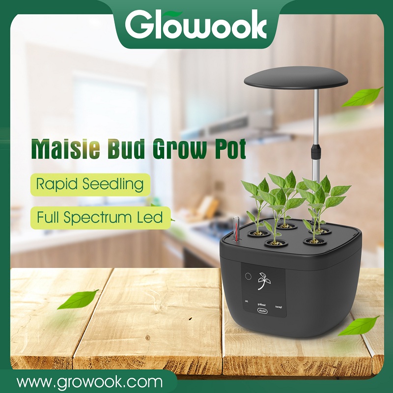 Shop Maisie Bud iGrowPot: Quality Factory-Made Planters for Vibrant <a href='/indoor-garden/'>Indoor Garden</a>ing