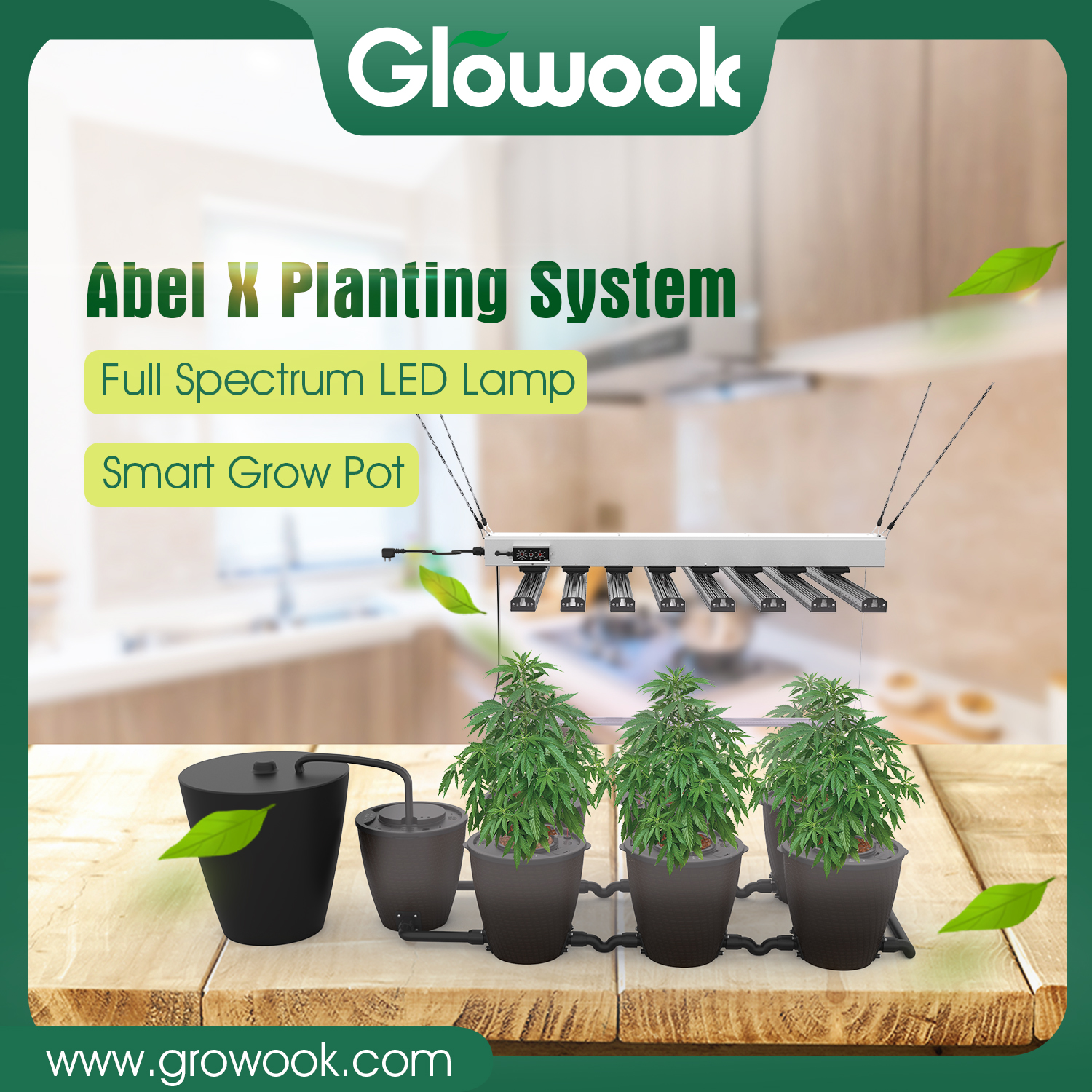 Factory Direct Abel X Planting System: Revolutionize Your Planting Process