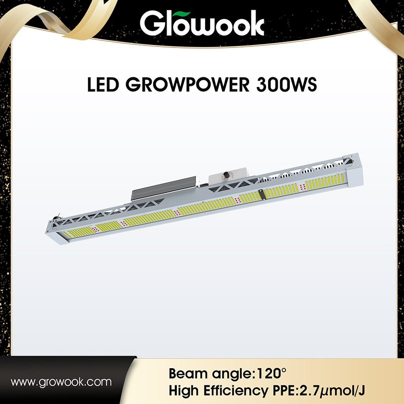 Factory Direct: Enhanced Plant Growth with LED Growpower 300WS