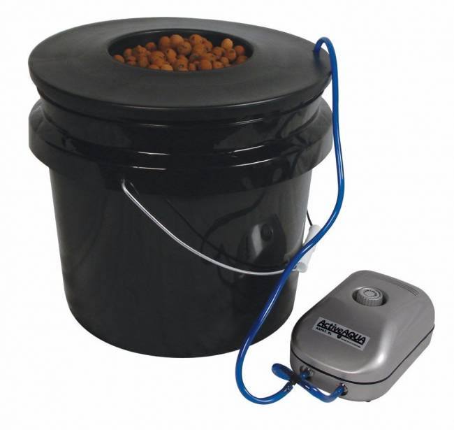 Make your own DWC hydroponics bucket system | H&O Plastics