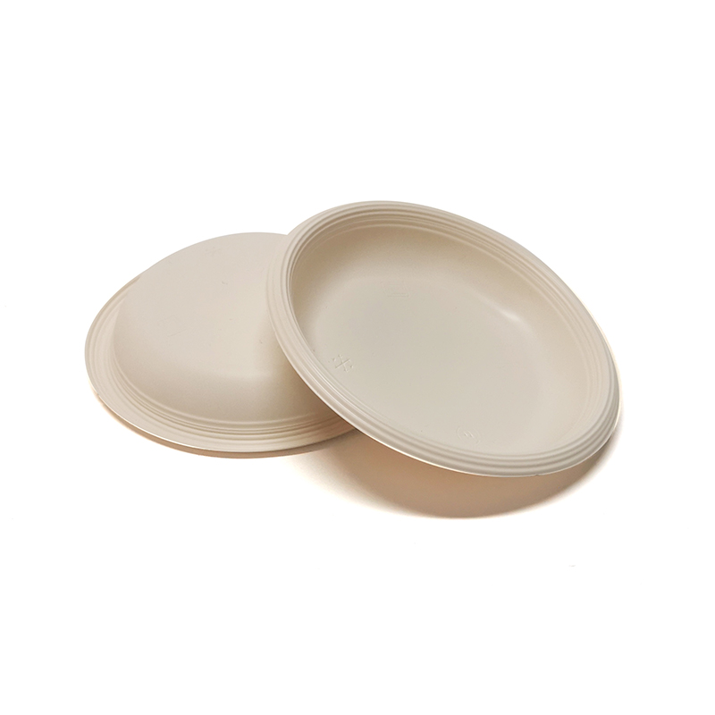 Leading Factory for Eco-Friendly Biodegradable Round Plates - PLA Disposable Plates