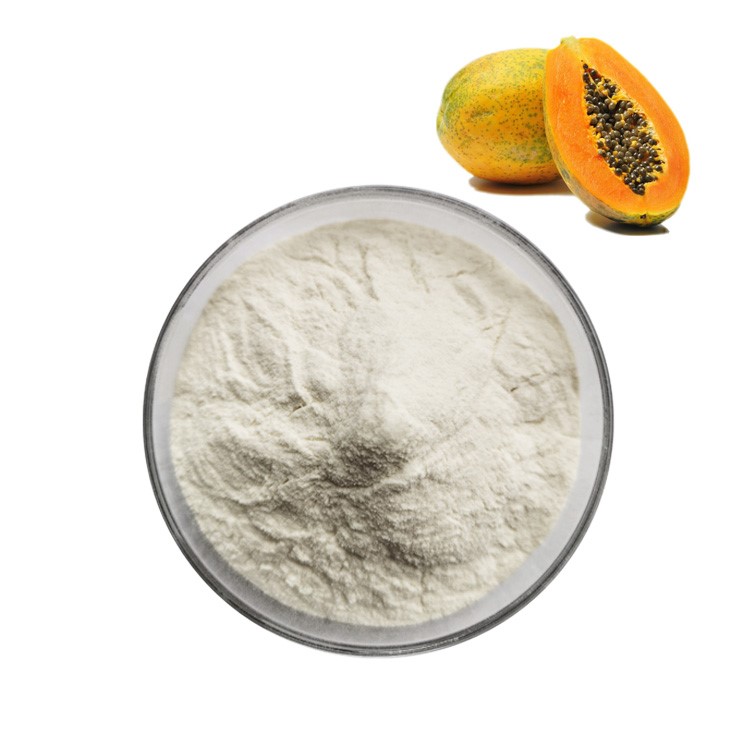 Natural <a href='/papain/'>Papain</a> Powder from Factory - Extract of Papaya Fruit | High-Quality and Pure Formulation