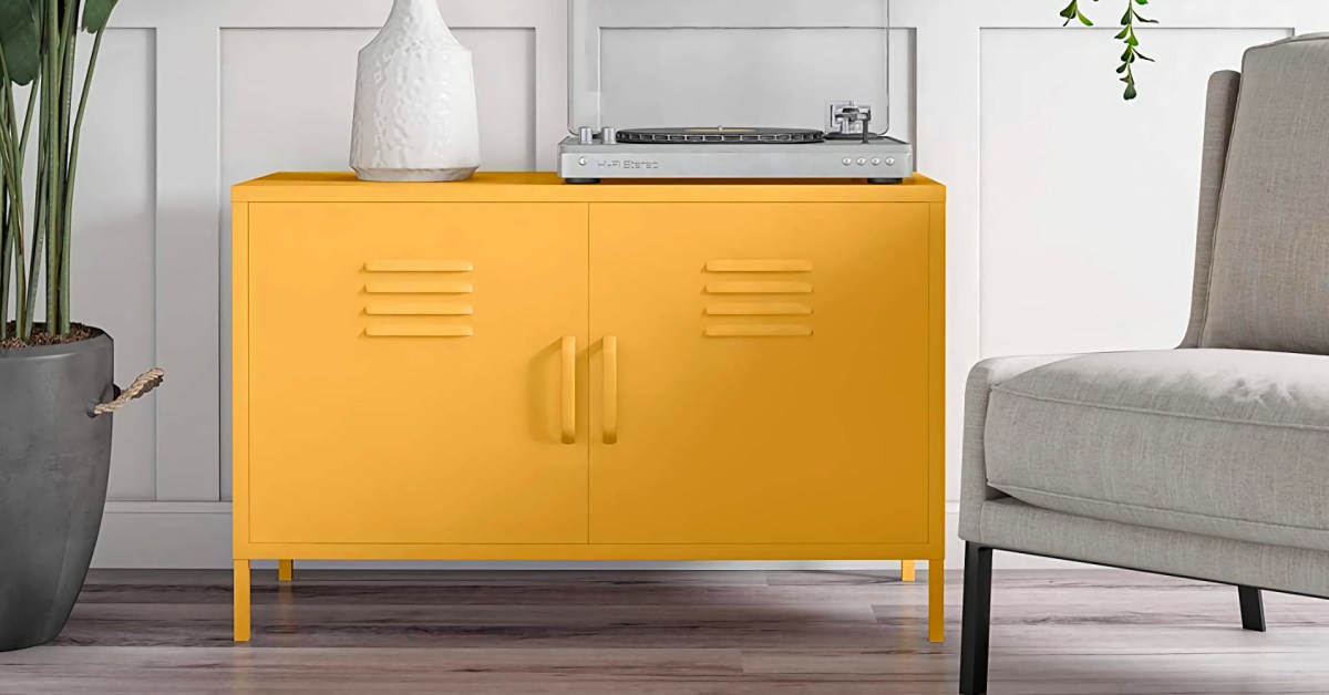 Cache 2 Door Metal Locker Accent Cabinet  Ameriwood