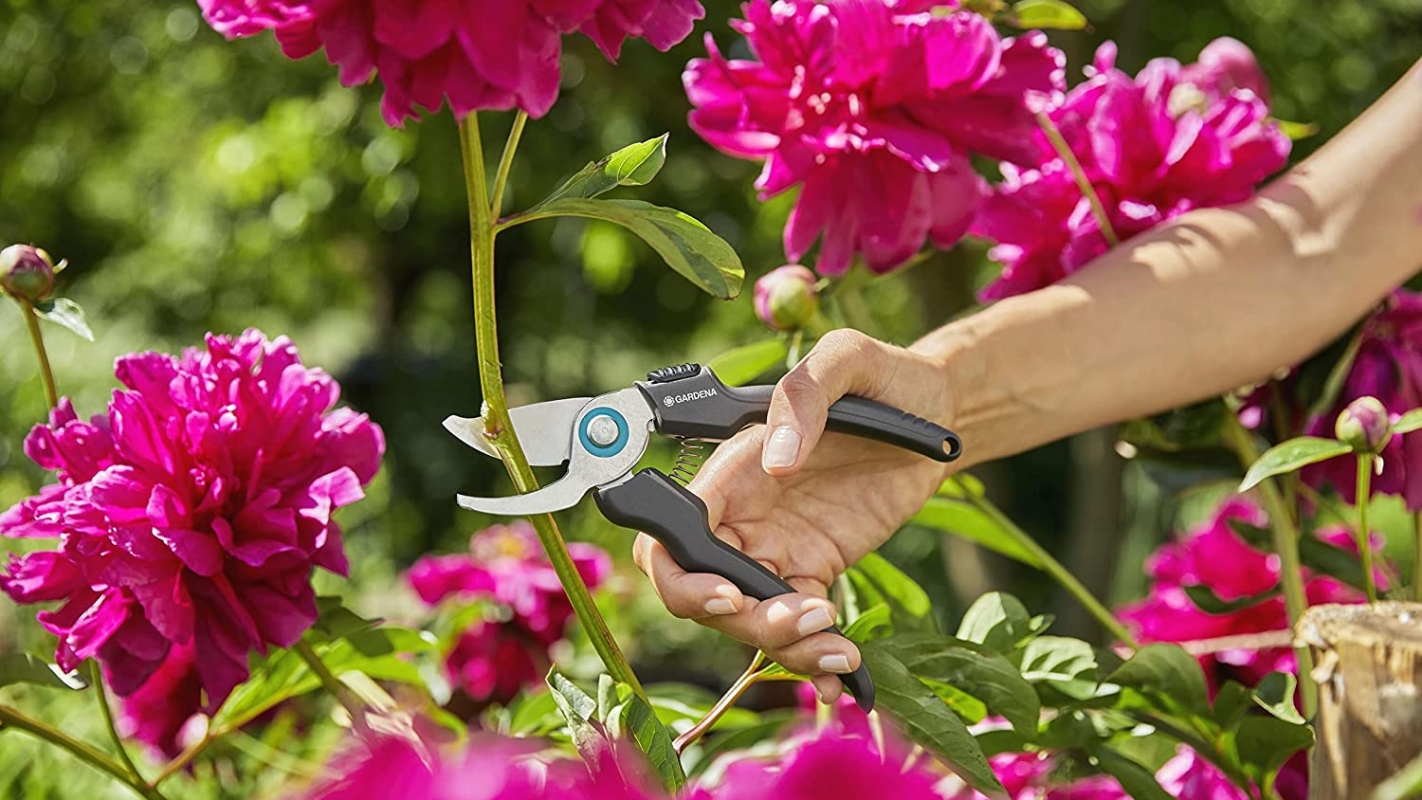 Garden Secateurs