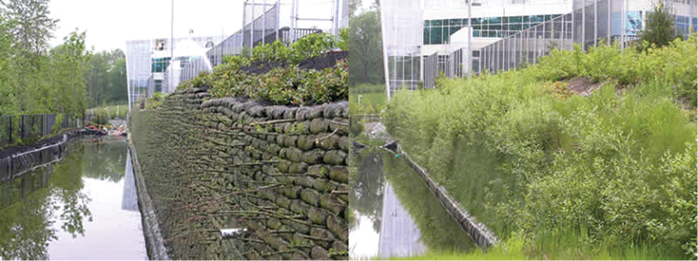 Gabion Baskets compared to the Flex MSE Vegetated Wall System