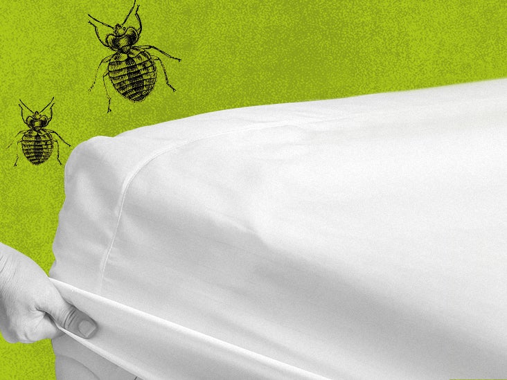 Using Natural Methods and Mattress Covers Against Bed Bugs Can Ensure Better Health Rather Than Using Chemicals - Bargoose Protective Bedding