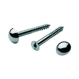 MIRROR SCREWS | Horizonplastics