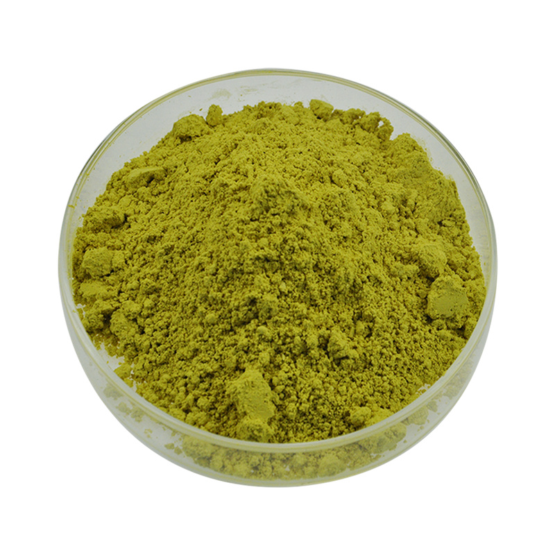 <a href='/sophora-japonica-extract/'>Sophora Japonica Extract</a>: Quality <a href='/quercetin/'>Quercetin</a> and <a href='/rutin/'>Rutin</a> from Leading Manufacturer.