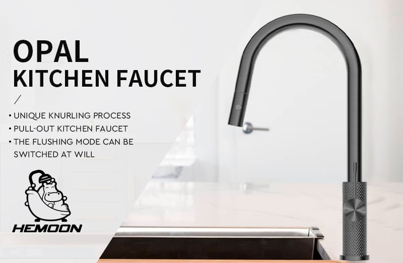 Pull Down Sprayer Kitchen Faucet (2)