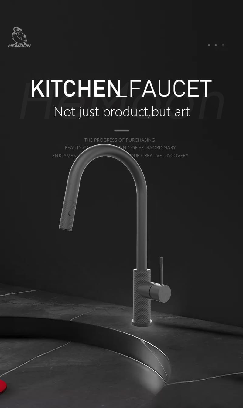 Pull Down Sprayer Kitchen Faucet (3)