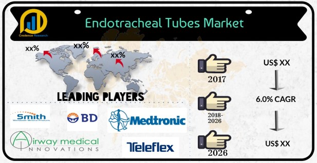 endotracheal tube - Thevillas.co