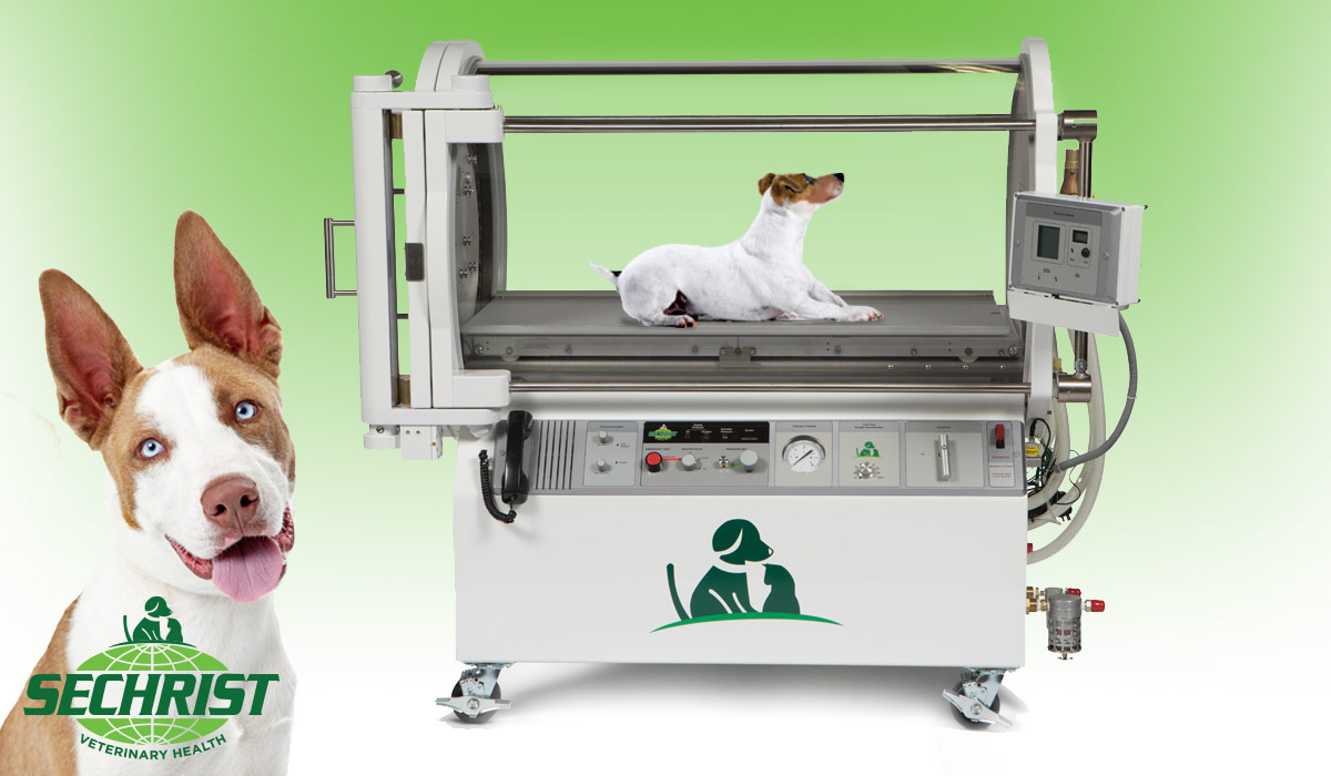 Hyperbaric Oxygen Therapy Chambers for Pets - Veterinary Equipment & Product Service - Pet Supplies - Housewares - Products - Kdl-China.com