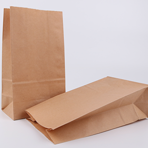 Novolex Introduces Innovative Paper Shopping Bags for More Secure Transport and Deliveries