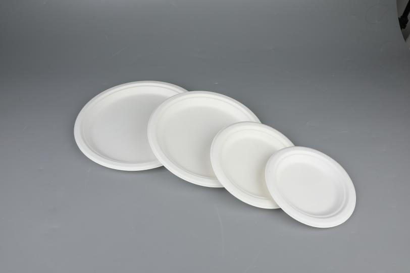 Factory-Made Eco-Friendly Biodegradable <a href='/bagasse-tableware/'>Bagasse Tableware</a>: 6/7/9/10