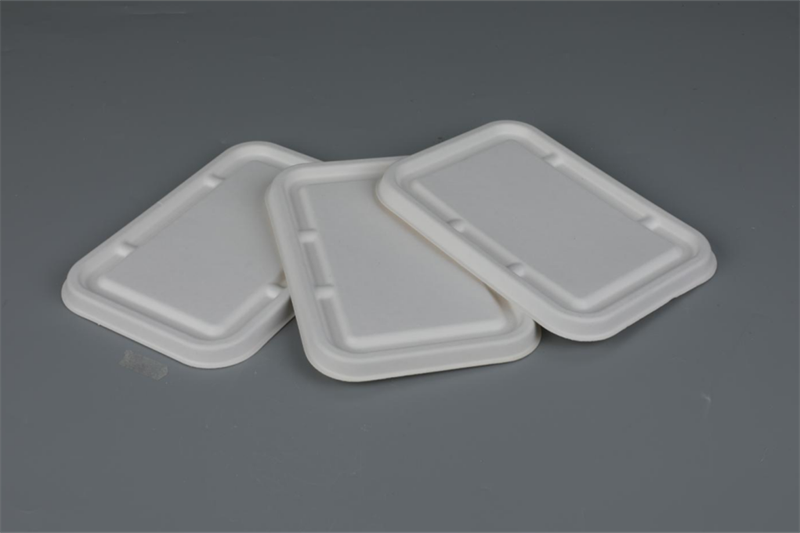 Factory Direct Biodegradable Bagasse Lids for 500ml, 650ml, and 750ml Rectangular Containers - Eco-Friendly Tableware