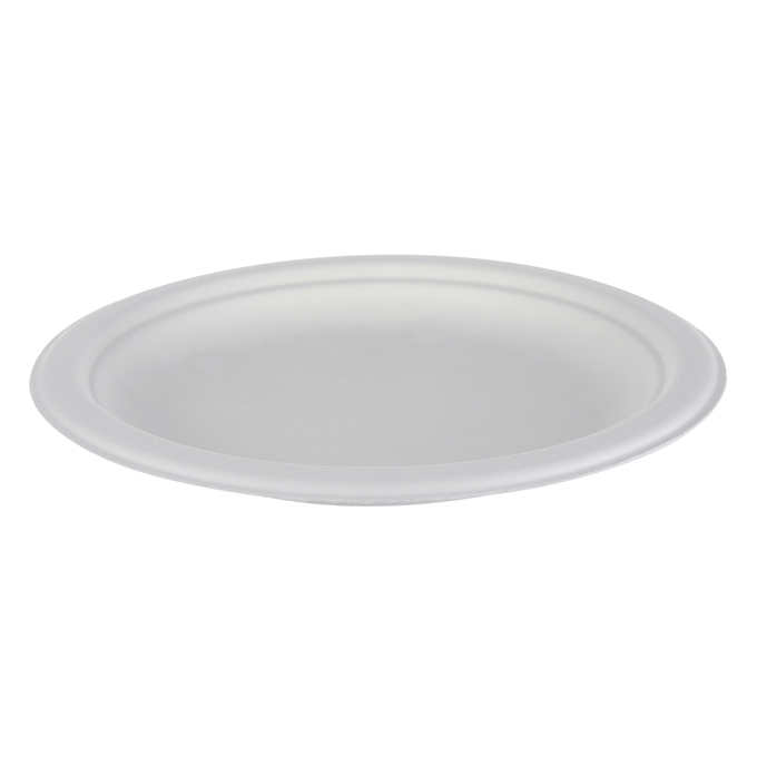 <a href='/bagasse-plate/'>Bagasse Plate</a>s | BgreenToday