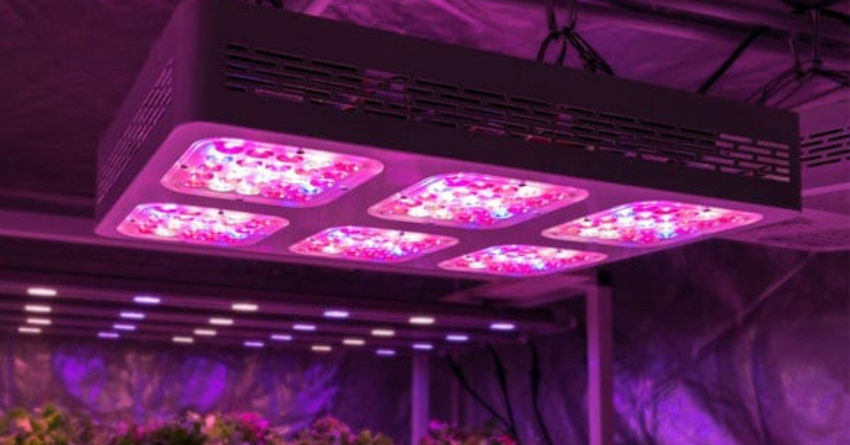 Indoor Growing Archives - Best LED <a href='/grow-light/'>Grow Light</a>s Info