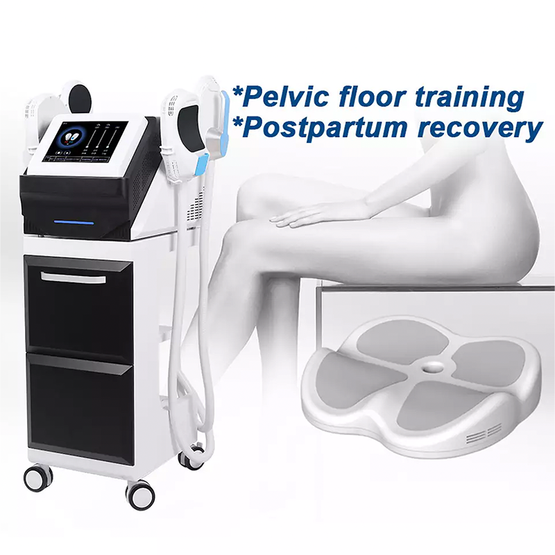 Factory Direct: Get Your Portable 13 Tesla Pelvic EMS Muscle Sculpting Machine with 4 Handles - Hiemt PRO