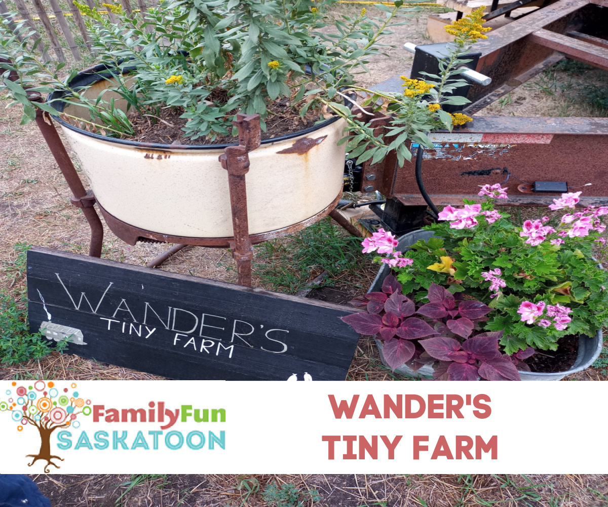 rain gauge | Tiny Farm Blog