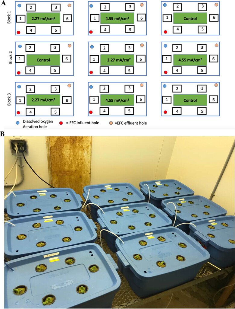 Hydroponics  UCSB Sustainability