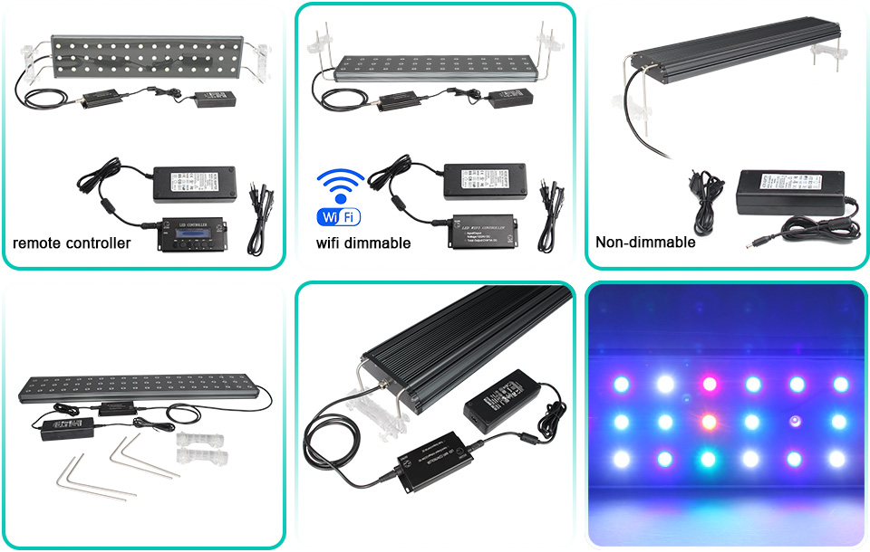 LED Aquarium Lighting