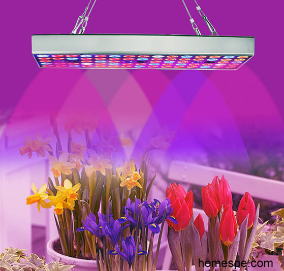 HPS <a href='/grow-light/'>Grow Light</a> | Grow-light.org