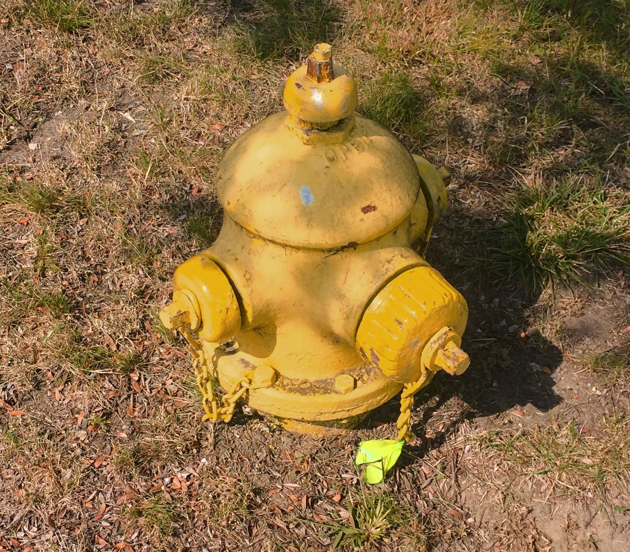 What is a Fire Hydrant? - Definition from Safeopedia