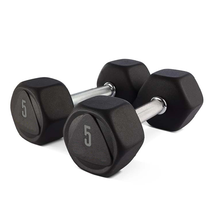 11 Best Dumbbells For Home Gyms of 2023 (Dec Update)