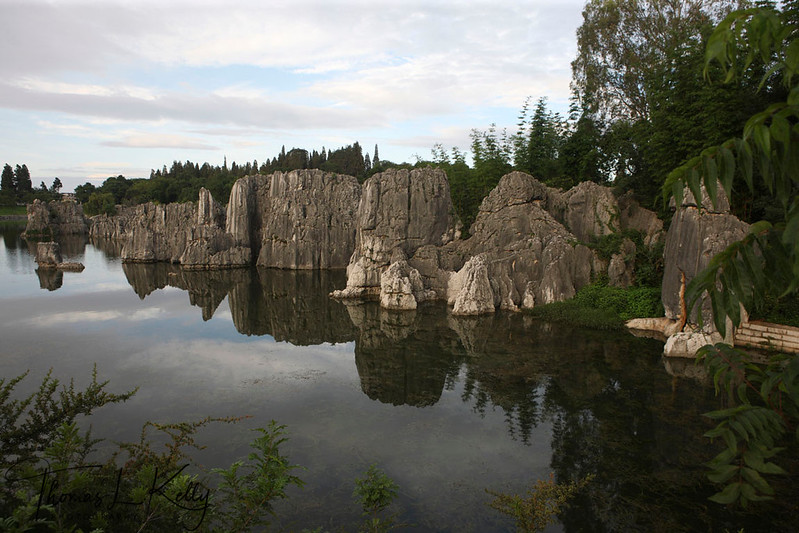 Stone Forest | Dwell