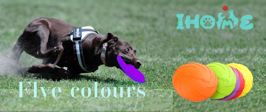 Dog Frisbee Flying Disc-Pet Interactive Toy, Training Flyer,Fda Standard Pet Frisbee,colourful dog frisbee