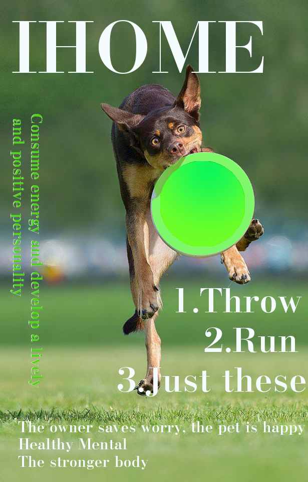 Dog Frisbee Flying Disc-Pet Interactive Toy, Training Flyer,Fda Standard Pet Frisbee,colourful dog frisbee