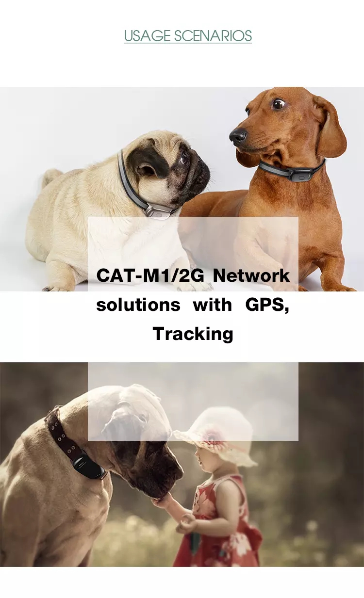 Giant Dogs Tracer,Dog electronic locator, intelligent anti-loss locator GPS, tracking dog GPS, intelligent waterproof dog GPS