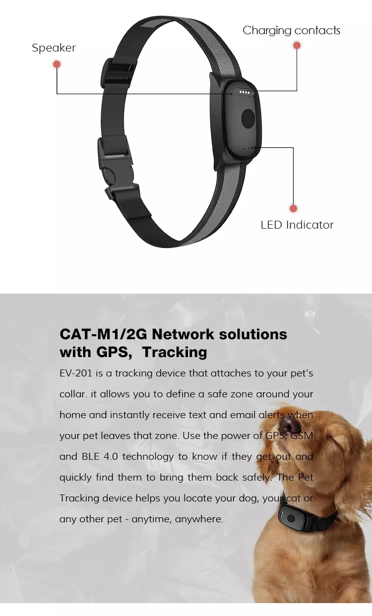 Giant Dogs Tracer,Dog electronic locator, intelligent anti-loss locator GPS, tracking dog GPS, intelligent waterproof dog GPS