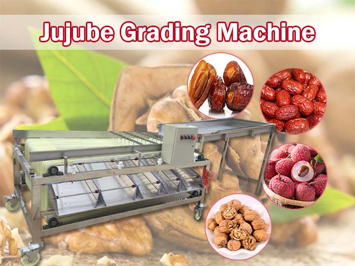 Blueberry Grading Machine | Fruitprocess