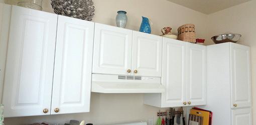 Sink Front Polymer Tip-Out Trays with Hinges | Cabinets To Go