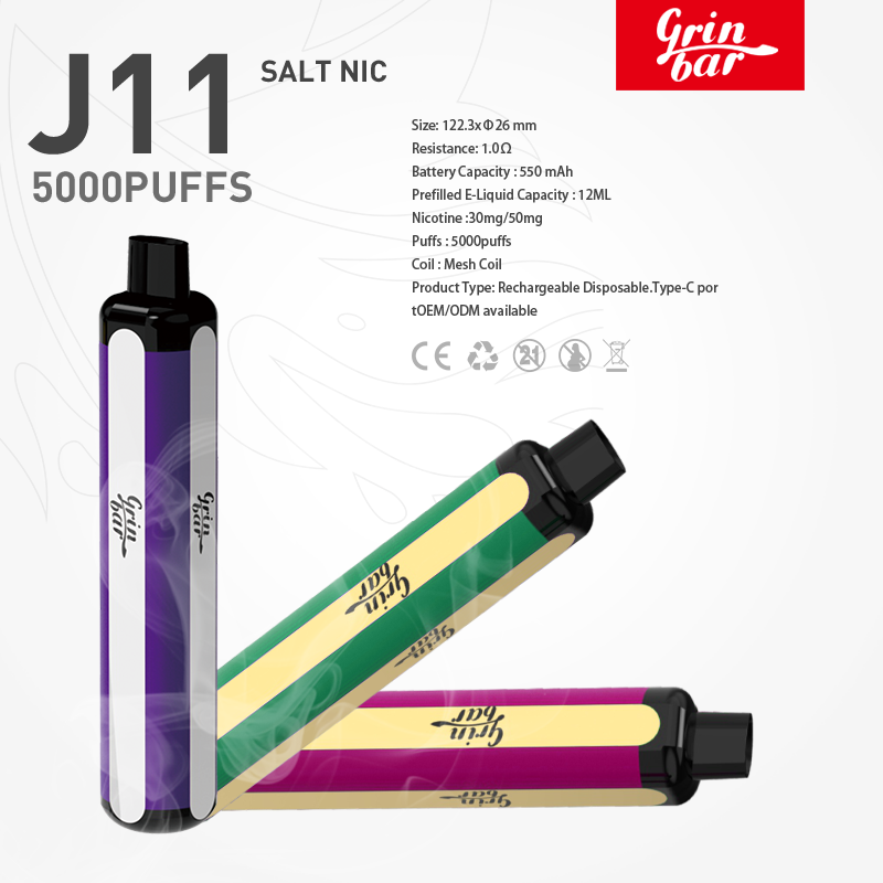 Factory-Direct 2022 Hot Disposable Vape with 5000 Puffs