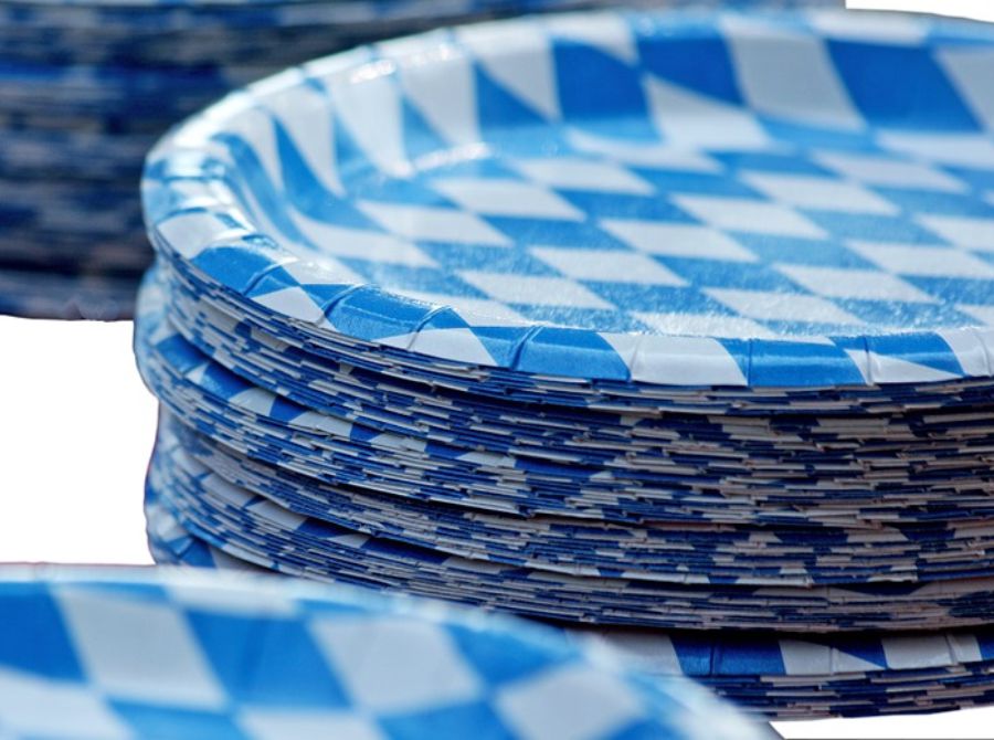 Best Quality Disposable Plates - Reviewed and Tested.