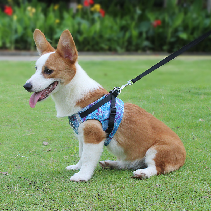 Easy Fit Harness -Step-in <a href='/small-dog-harness/'>Small Dog Harness</a> with Quick Release Buckle - On The Go Harness for Small Dogs or Medium Dog Harness for Indoor and Outdoor Use