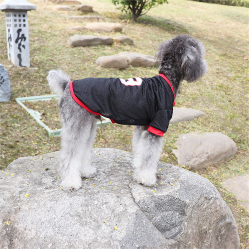 Factory Direct Pet Clothes Wholesale: Cooling Dog Vest with Mesh for Summer.